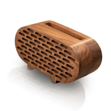 اسپیکر آکوستیک پژواک