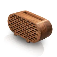 اسپیکر آکوستیک پژواک